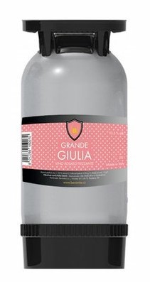 KEG, perlivé růžové víno, frizzante rosato, Grande Giulia, Veneto, 20 l, 10,5%