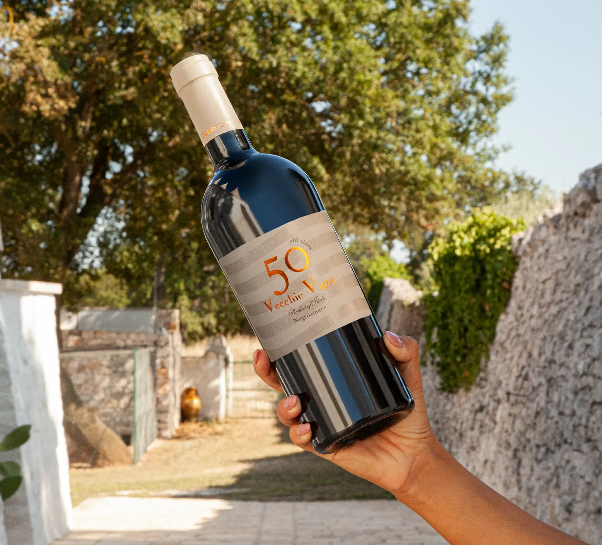 50 Vecchie Vigne, Negroamaro Salento IGT , 0,75L 14,5%, vinařství Cignomoro, Apulie
