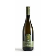 Gavi di Gavi, Piemonte,   DOCG,  vinařství  LA CHIARA 0,75l 12,5%