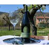 gavi_classico-DOCG-800x658-copia.jpg