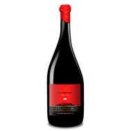 DOUBLE MAGNUM Montepulciano d´Abruzzo, DOC, Vinařství  Novaripa, 14% 3litry